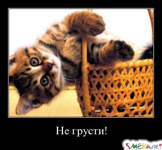 Не грусти!!!!