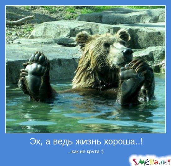 Эх, а ведь жизнь хороша..! - ...как не крути :)