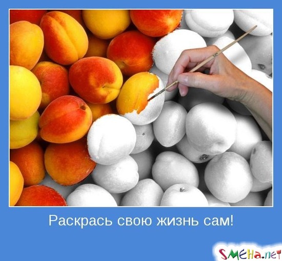 Раскрась свою жизнь сам!