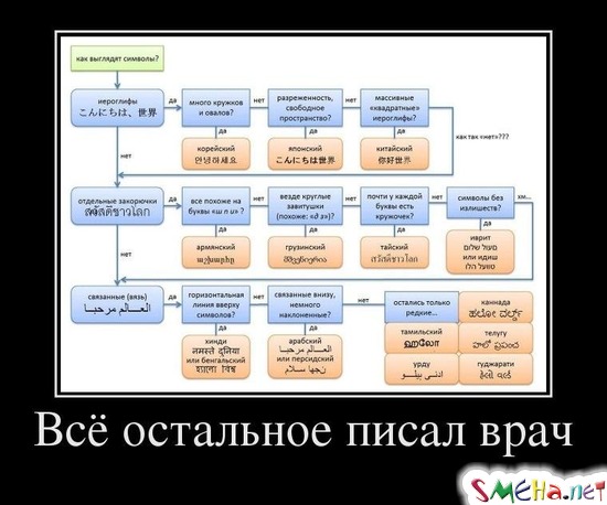 Всё остальное писал врач