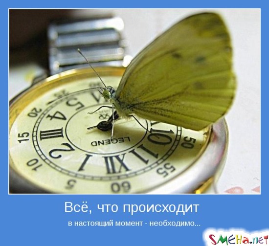 Всё, что происходит в настоящий момент - необходимо...