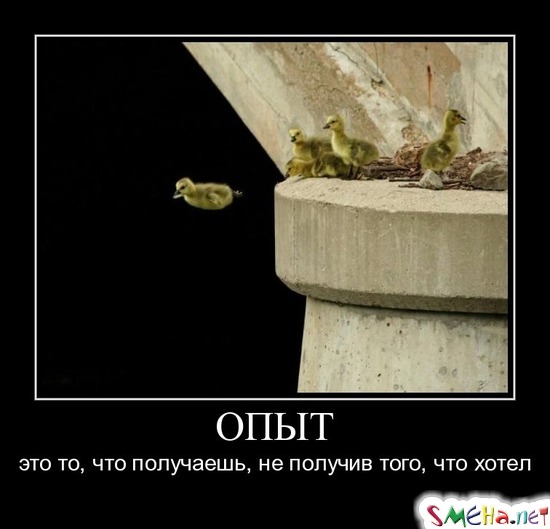 Опыт - это то, что получаешь, не получив того, что хотел
