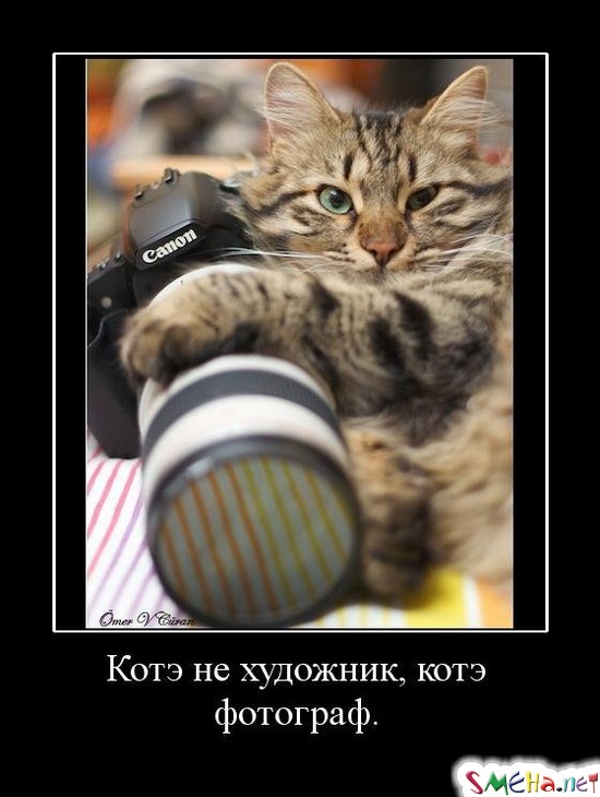 Котэ не художник, котэ фотограф.