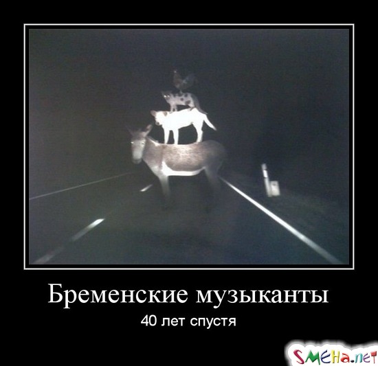 Бременские музыканты - 40 лет спустя