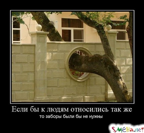 Если бы к людям относились так же - то заборы были бы не нужны