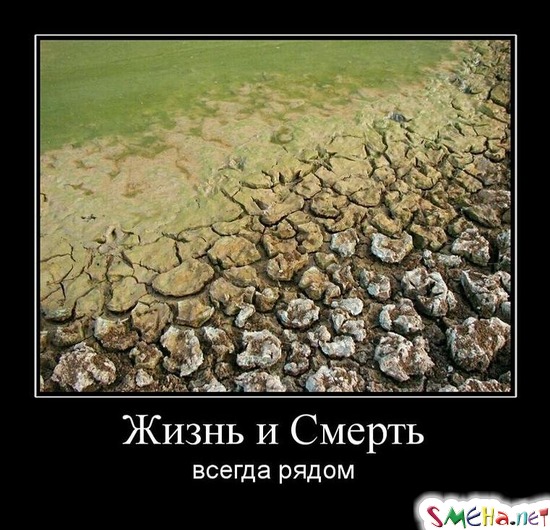 Жизнь и Смерть