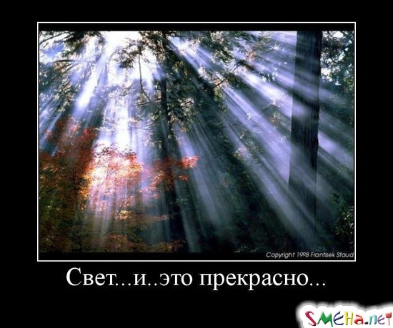 Свет... и.. это прекрасно...