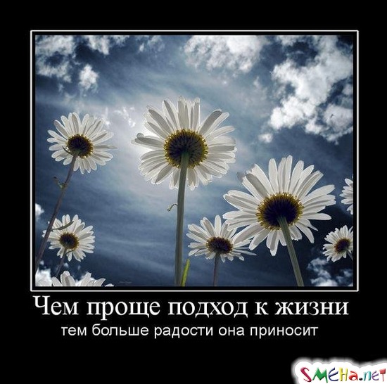 Чем проще подход к жизни - тем больше радости она приносит