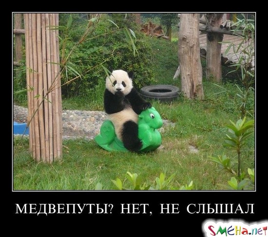 МЕДВЕПУТЫ? НЕТ, НЕ СЛЫШАЛ