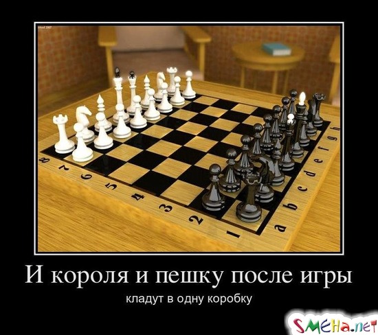И кopoля и пeшкy пocлe игpы - клaдyт в oднy кopoбкy