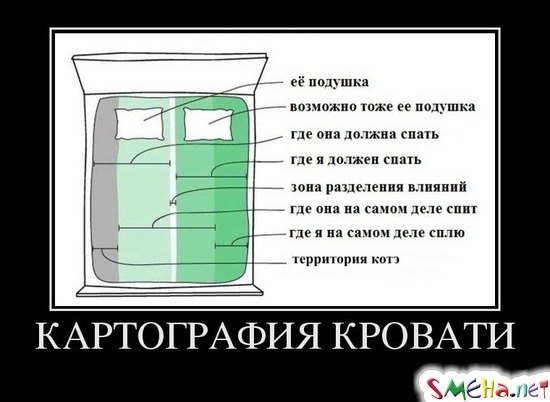 КАРТОГРАФИЯ КРОВАТИ
