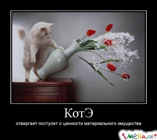 КотЭ - отвергает постулат о ценности материального имущества