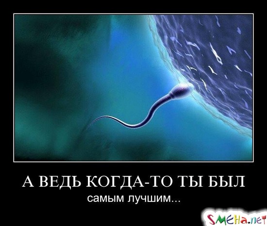 А ВЕДЬ КОГДА-ТО ТЫ БЫЛ - самым лучшим...