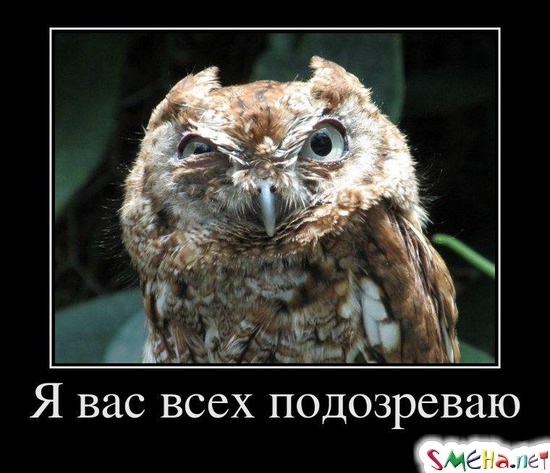 Я вас всех подозреваю