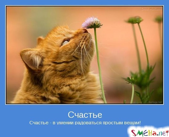 Счастье - Счастье - в умении радоваться простым вещам!