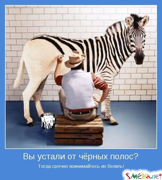 Вы устали от чёрных полос? Тогда срочно принимайтесь их белить!