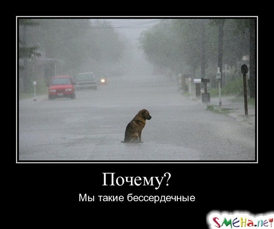 Почему? - Мы такие бессердечные