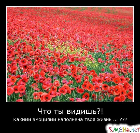 Что ты видишь! - Какими эмоциями наполнена твоя жизнь???