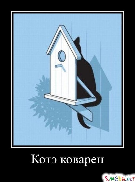 Котэ коварен