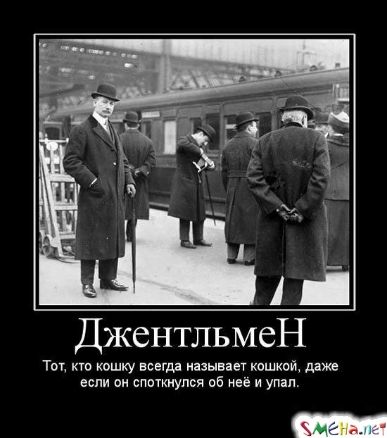 Джентльмен - Тот, кто кошку всегда называет кошкой, даже если он споткнулся об неё и упал.
