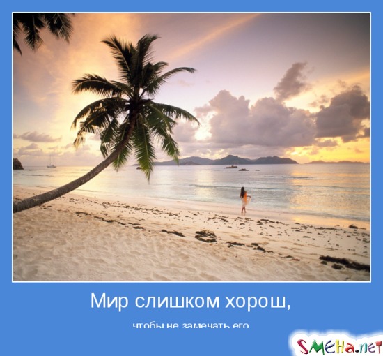 Мир слишком хорош, - чтобы не замечать его
