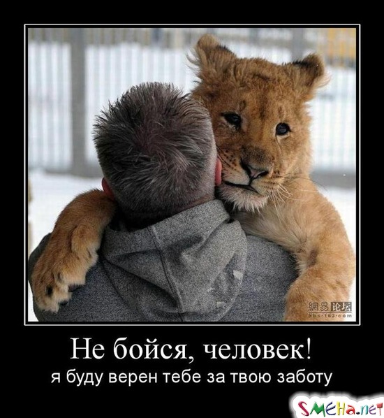 Не бойся, человек! - я буду верен тебе за твою заботу