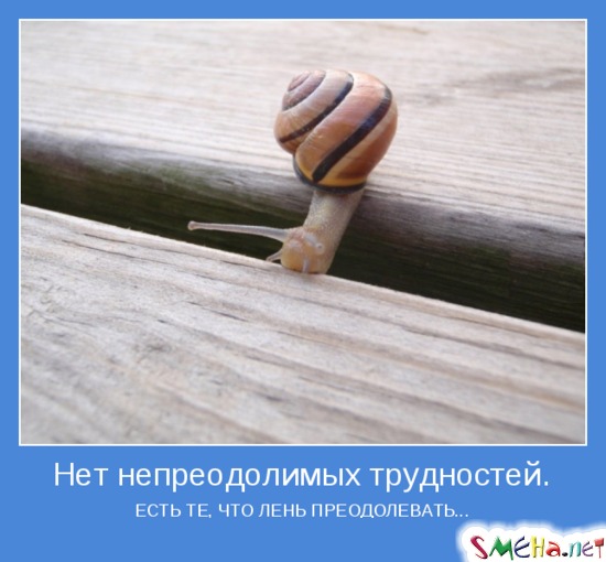 Нет непреодолимых трудностей - ЕСТЬ ТЕ, ЧТО ЛЕНЬ ПРЕОДОЛЕВАТЬ...