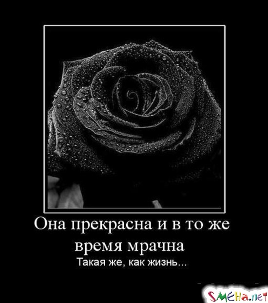 Она прекрасна и в то же время мрачна - Такая же, как жизнь...