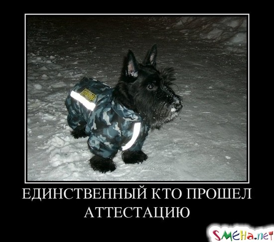 ЕДИНСТВЕННЫЙ КТО ПРОШЕЛ АТТЕСТАЦИЮ