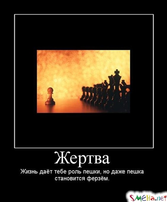 Жертва - Жизнь даёт тебе роль пешки, но даже пешка становится ферзём.