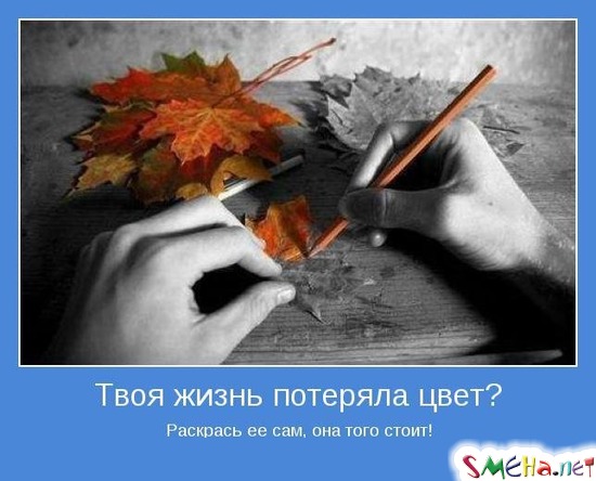 Твоя жизнь потеряла цвет? - Раскрась ее сам, она того стоит!