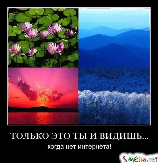 ТОЛЬКО ЭТО ТЫ И ВИДИШЬ... - когда нет интернета!