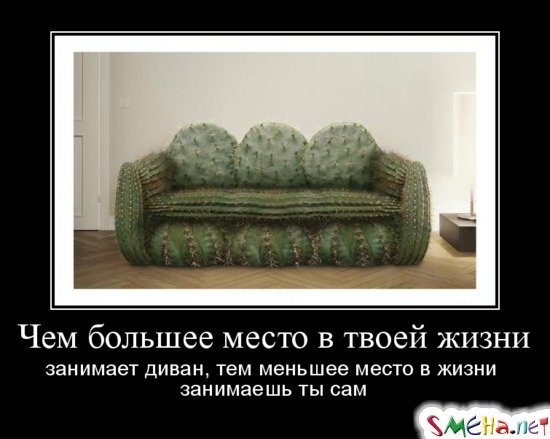 Чем большее место в твоей жизни занимает диван, тем меньшее место в жизни занимаешь ты сам
