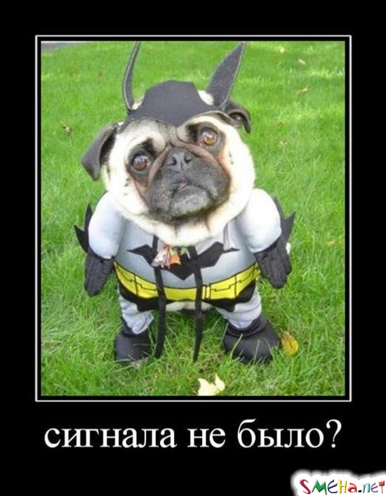 Сигнала не было?