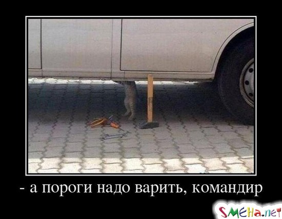 - а пороги надо варить, командир