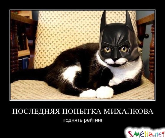 ПОСЛЕДНЯЯ ПОПЫТКА МИХАЛКОВА - поднять рейтинг