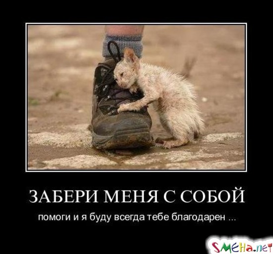 ЗАБЕРИ МЕНЯ С СОБОЙ - помоги и я буду всегда тебе благодарен...