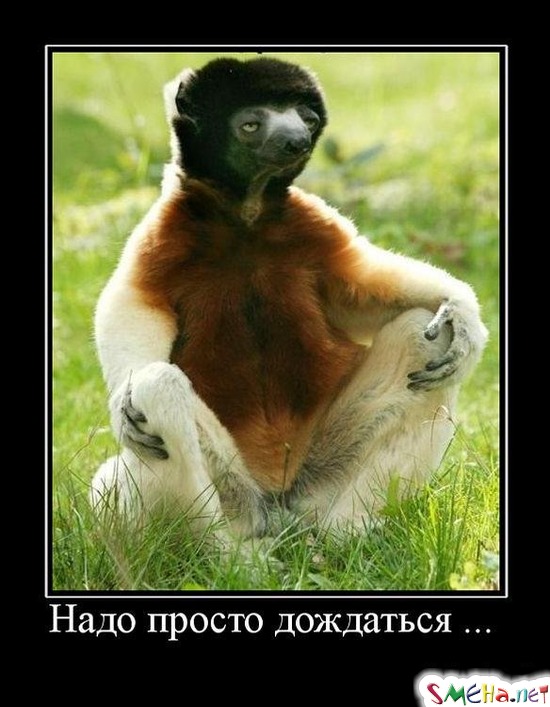 Надо просто дождаться...
