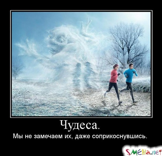 Чудеса. - Мы не замечаем их, даже соприкоснувшись.