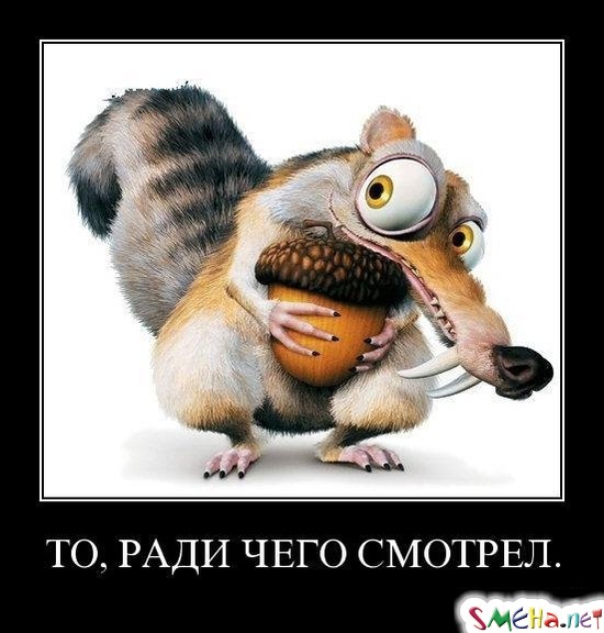 ТО, РАДИ ЧЕГО СМОТРЕЛ.