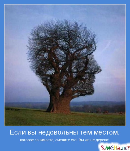 Если вы недовольны тем местом, - которое занимаете, смените его! Вы же не дерево!