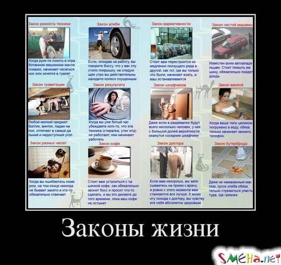 Законы жизни