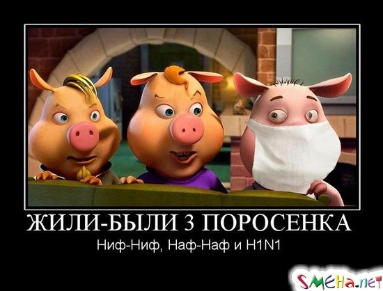 ЖИЛИ-БЫЛИ 3 ПОРОСЕНКА - Ниф-Ниф, Наф-Наф и H1N1