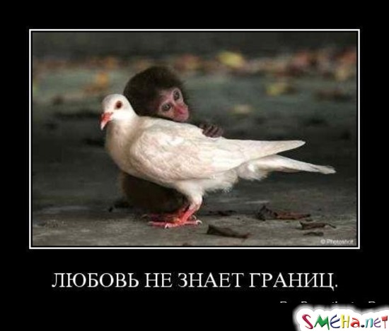 ЛЮБОВЬ НЕ ЗНАЕТ ГРАНИЦ.