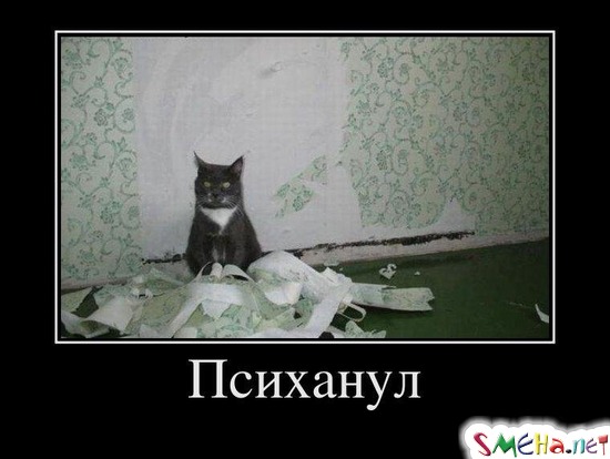 Психанул