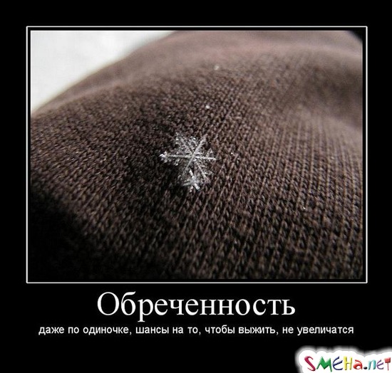 Обреченность - даже по одиночке, шансы на то, чтобы выжить, не увеличатся