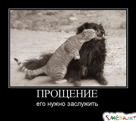 ПРОЩЕНИЕ его нужно заслужить