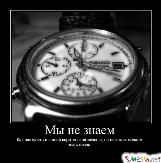 Мы не знаем - Как поступить с нашей коротенькой жизнью, но все-таки желаем жить вечно