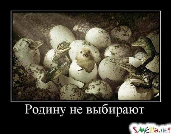 Родину не выбирают