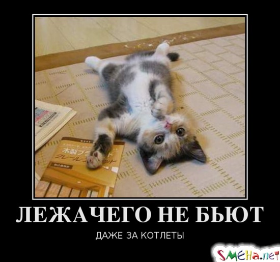ЛЕЖАЧЕГО НЕ БЬЮТ ДАЖЕ ЗА КОТЛЕТЫ